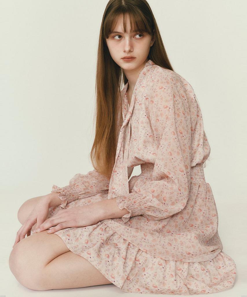 SO IR Ribbon Tied Sheer Dress - Peach