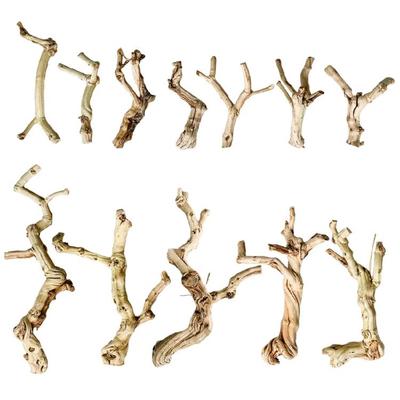 Reptiles Trunk Cave Natural Aesthetic Breeding Driftwood for Reptiles Wood Climbing Habitats Supplies