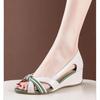 Spring Summer New Women's Shoes Simple Hollow Breathable Fish Mouth Exposed Slipping Slope Heel Spliced Women's Elegant Sandals