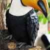 Realistic Toucan Tree Hugger Statue Bird Model Bird Figurine Toucan Bird Figurine  Outdoor