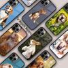 Popular Dog Breeds Sitting Beagle Puppy Magnetic Phone Case For APPLE iPhone 17 Air 16 14 13 12 Pro Max 15 Plus MagSafe Cover