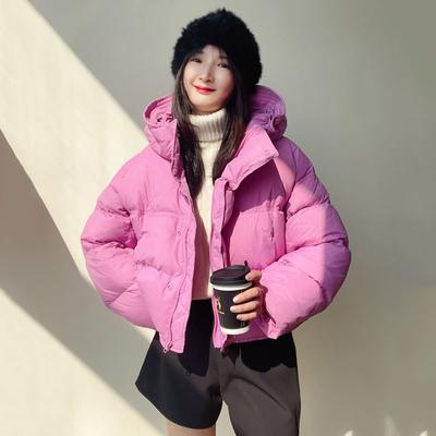 Short Down Cotton Jacket for Women 2023 Winter Fashion Hooded Warm Parkas Ladies Lightweight Puffy Cotton Padded Coat