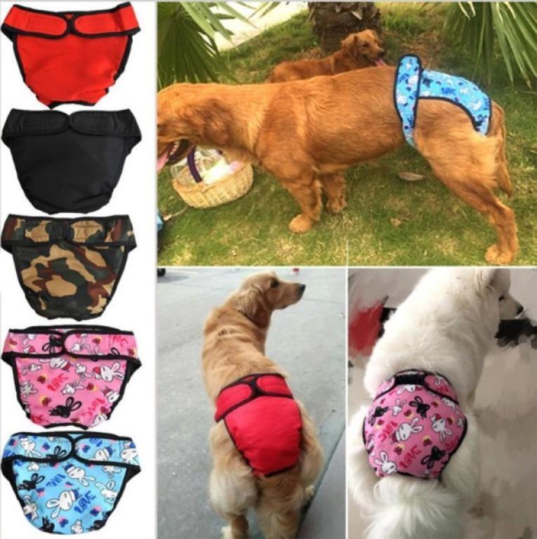 dog menstruation pants
