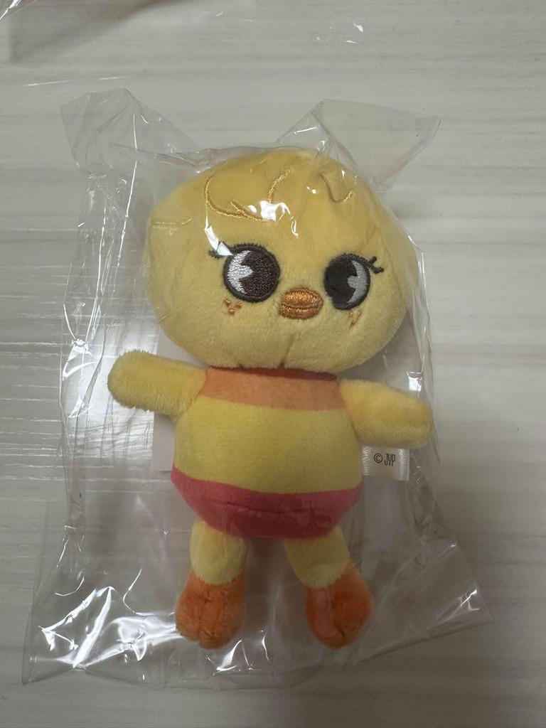 [USED] StrayKids 2nd World Tour MANIAC Pogari Plush Toy