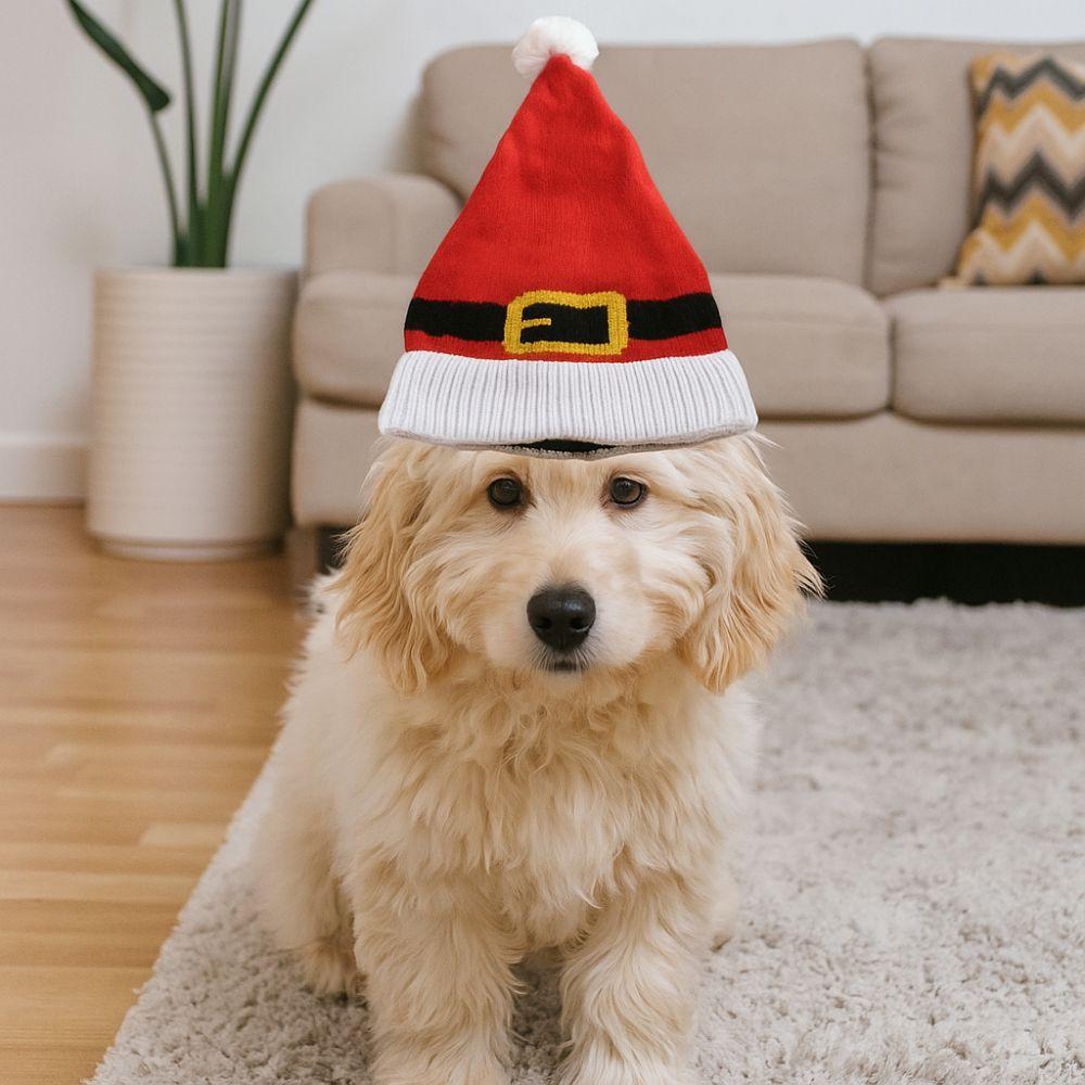 Kitten Accessory Red Pet Christmas Hat Knitted Warm Dog Decorative Cap Cute Pet Costume Festive