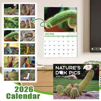 Calendar, Travel Calendar, Monthly Calendar, Travel Wall Calendar, Illustrated Twelve-month Calendar, Travel Gift, Wall Decoration