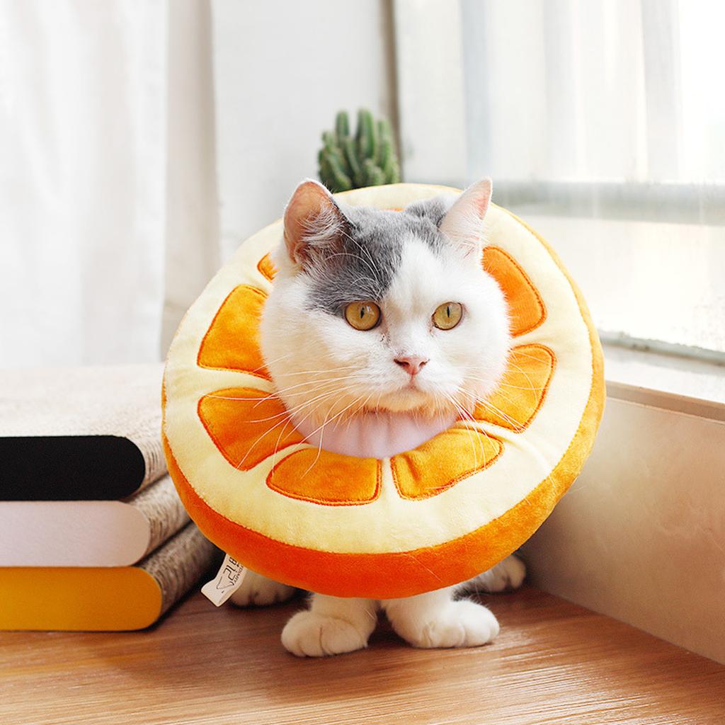 parfait cat bed
