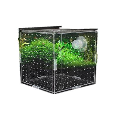 1 Stück Fischtank Transparentes Aquarium Einzel Doppel Mehrfach Gitter Isolierbox Jungfisch Inkubator Zuchtbox Aquatisches Haustierzubehör