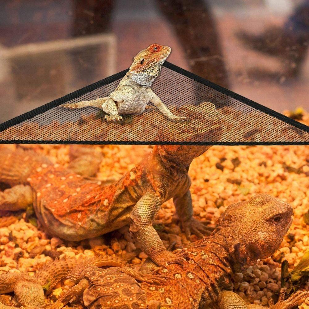 Hanging Pet Accessories Elastic Bearded Dragon Hammock Lizard Bed Reptile Habitat Bird Ladder