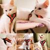 Kattsele Väst Promenadkoppel Koppel För Valphundar Halsband Polyester Justerbar Mesh Hundsele För Små Medelstora Husdjurstillbehör
