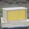 Honigwaben Flachzarge mit italienischen Bienenrähmchen, 48,8x12,5CM, 10 Rähmchen Kapazität
