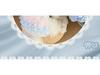 Sommer Prinzessin Haustierkleid: Katzen- und Hundewedding, Ballett, Geburtstagsrock