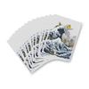 Overseas TCG Big Wave Pikachu Friends Card Sleeves Pokémon Center Pokémon & (65 sleeves)