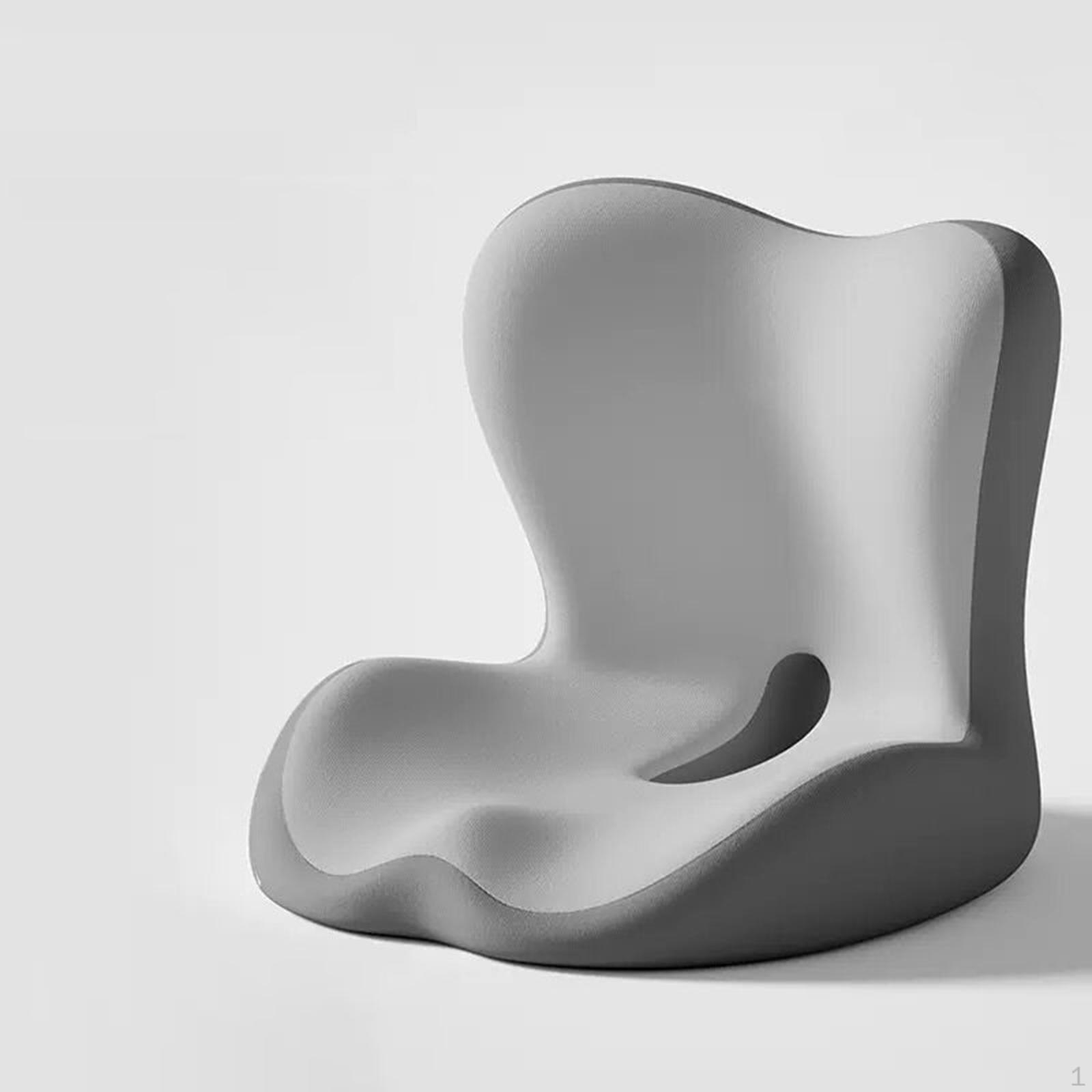 Memory Foam Seat Back Cushion Ergonomic Backrest Washable Cover Multipurpose for Tailbone Light and Dark Gray