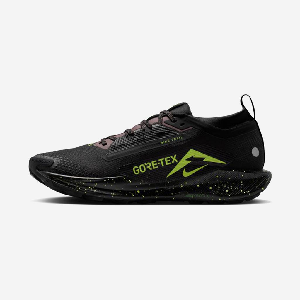 Nike Pegasus Trail 5 GORE-TEX [FQ0908-014]