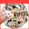 Cute Cat Doodle Stickers For Luggage Notebooks Water Bottles And More! Waterproof And Adhesive.