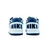 Nike Big Celestial Wings Cushioning, Wear Resistant Low top Skateboard Shoes Unisex Light Blue 355152-140(Team1154-)