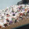 300g Natural Aquarium Substrate Sand 0.2-0.5mm Uniform Gravel for Fish Tank Bottom Bed Terrarium Aquascaping Decorative Stones