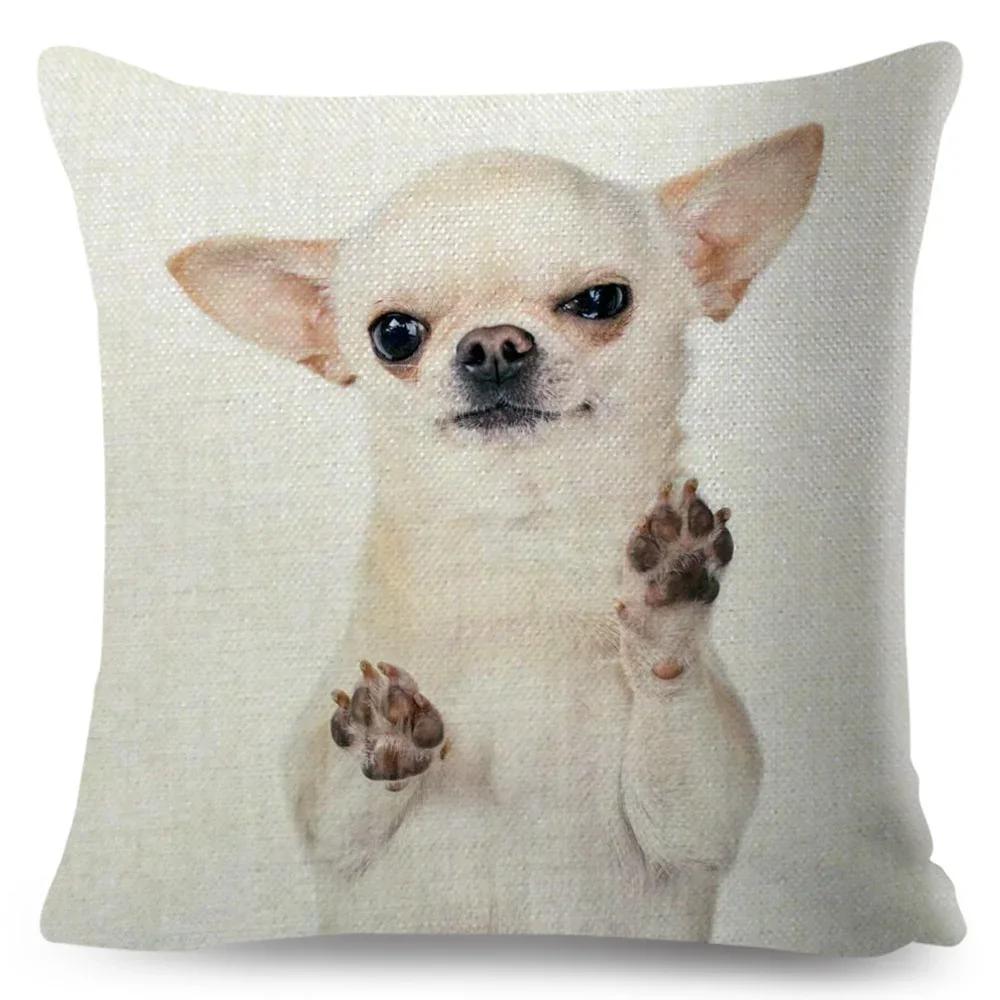 Cute Little Dog Chihuahua throw pillow cover with short plush print for living room sofa decoration cushion cover pillow covers