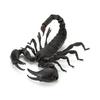 BANDAI The Big Creature full set of 5 types - Encyclopedia Scorpion, (including rare)