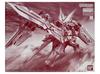 BANDAI MG Gundam Astray Red Dragon 1/100