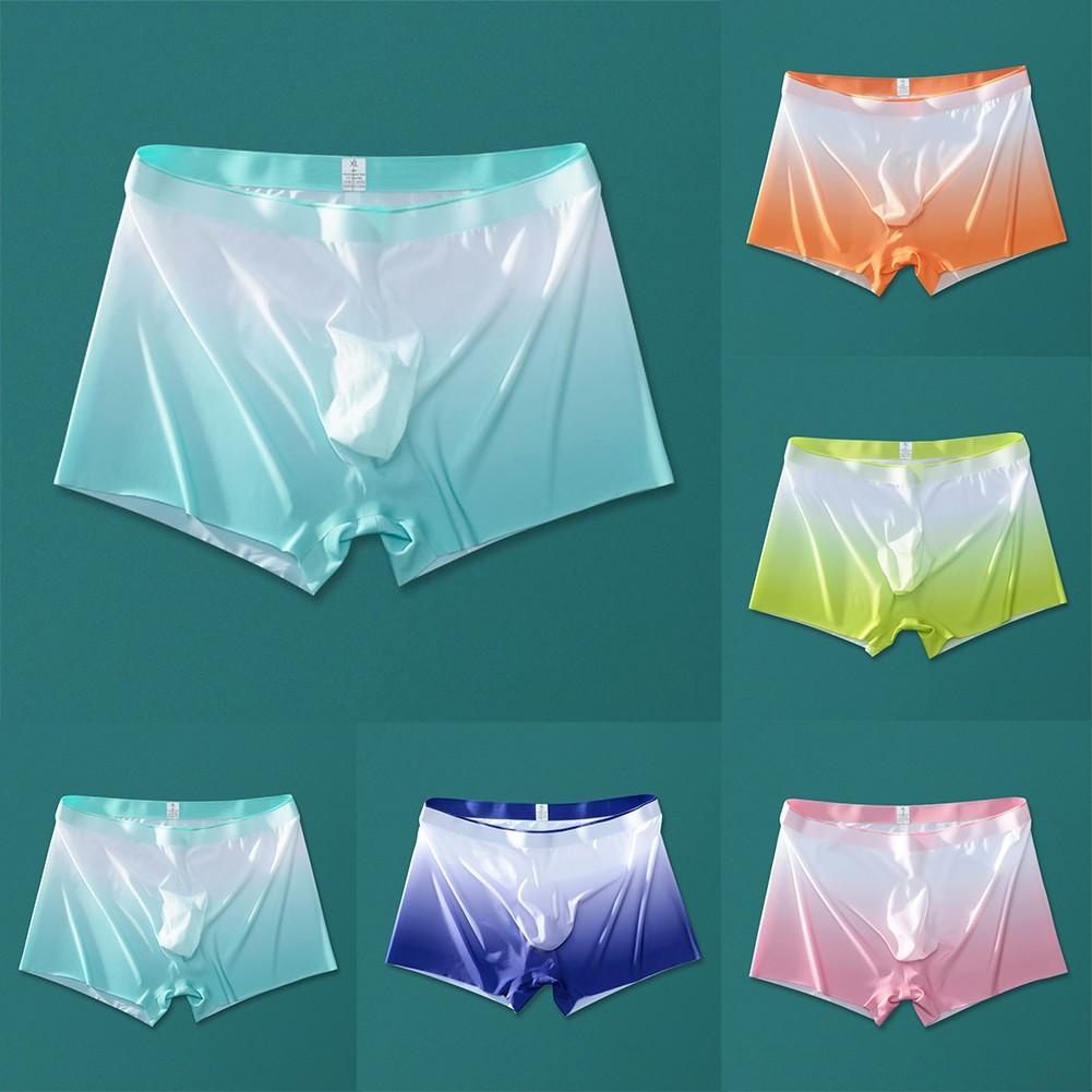 Lightweight Underwear Sexy Sheer Soft Boxer Briefs