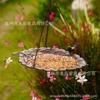 Leaf Shaped Hanging Bird Feeder Metal Garden Bird Feeder with Chain Iron Decorative Outdoor Wild Bird Feeding Station