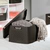 Curver Basket Container With Lid Storage