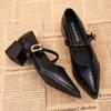 Fashion 2025 New Spring Style Pointed Toe Square Heel Versatile Style Single Shoes Women's Shoes Medium Professional Buckle High Heels