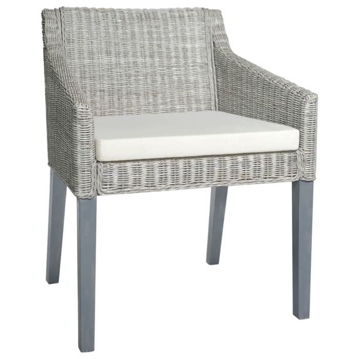VidaXL 2x Chaises à Dîner avec Coussins Fauteuils de Salon Chaises d'Appoint Sièges de Restaurant Cuisine Intérieur Gris 325494