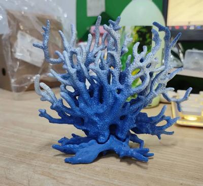 דגים ובעלי חיים ימיים – קישוטים לאקווריום