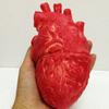 Halloween Horror Bloody Fake Brain Heart Props Lifelike Simulation Human Organ Decorations For Spooky Home Party Decorations