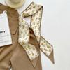 Long silk scarf, high-end new versatile hair tie streamer, atmosphere ribbon, spring and summer decorative scarf, tied bag streamer