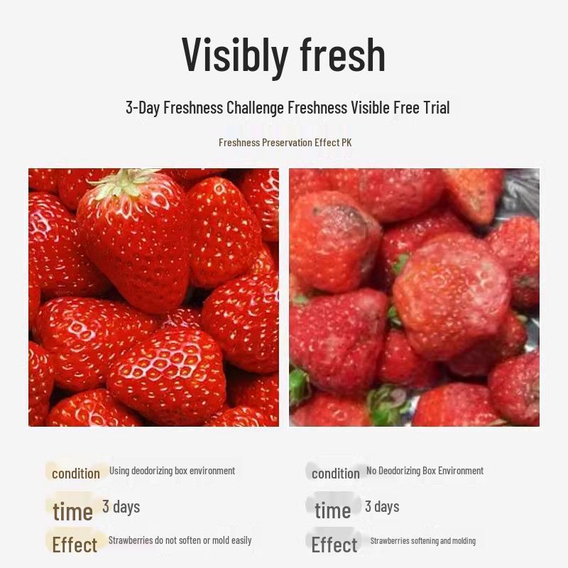 Activated Carbon Refrigerator Deodorizer Box - Odor Eliminator & Refresher