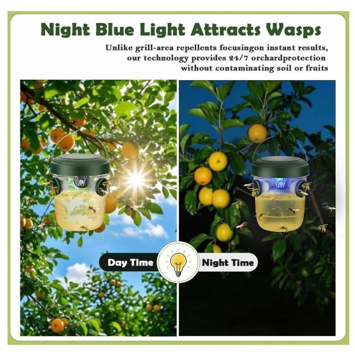 Asian Hornet Trap, Wasp and Hornet Trap Outdoor To Hang Alive Double Channel, Asian Hornet Trap Kit (2)