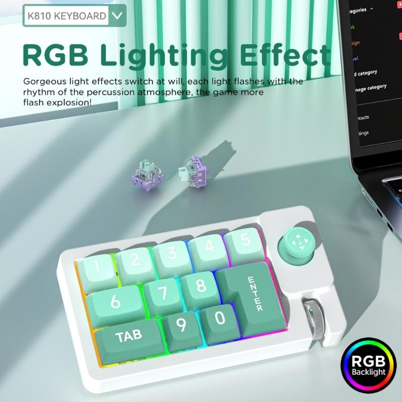K810 Corded Mechanical Gamer Keyboard Hot-Swappable with Lighting Programmable Macros Joystick Small Keypad 12Keys