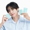 BRING GREEN Tea Tree Cica Sun 3-piece set/single item (sun cushion/sun stick/sun cream)