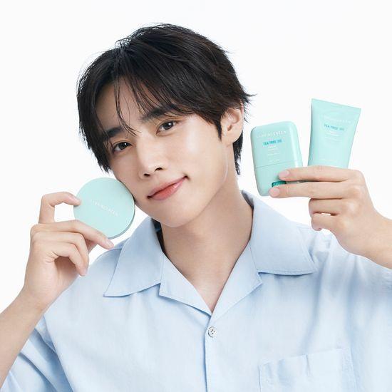 BRING GREEN Tea Tree Cica Sun 3-piece set/single item (sun cushion/sun stick/sun cream)
