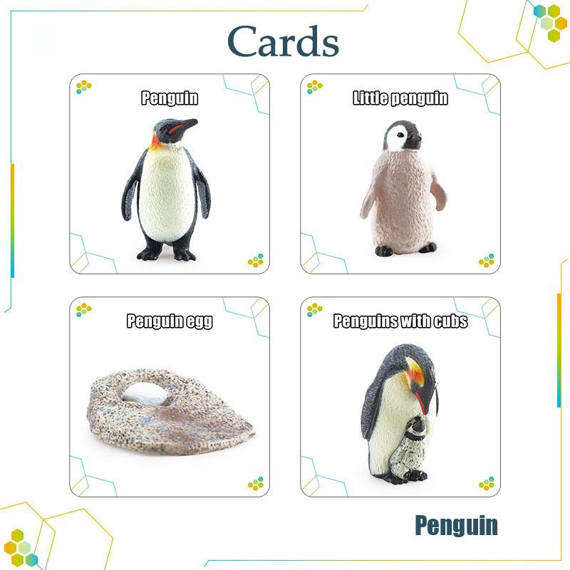 Toys Model Educational Simulated Animal Card Set Insect Plant Growth Cycle Cognitive Montessori Parish Home Open Learning Kids