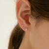 14k Star Cubic Earrings (14k Gold) ES04