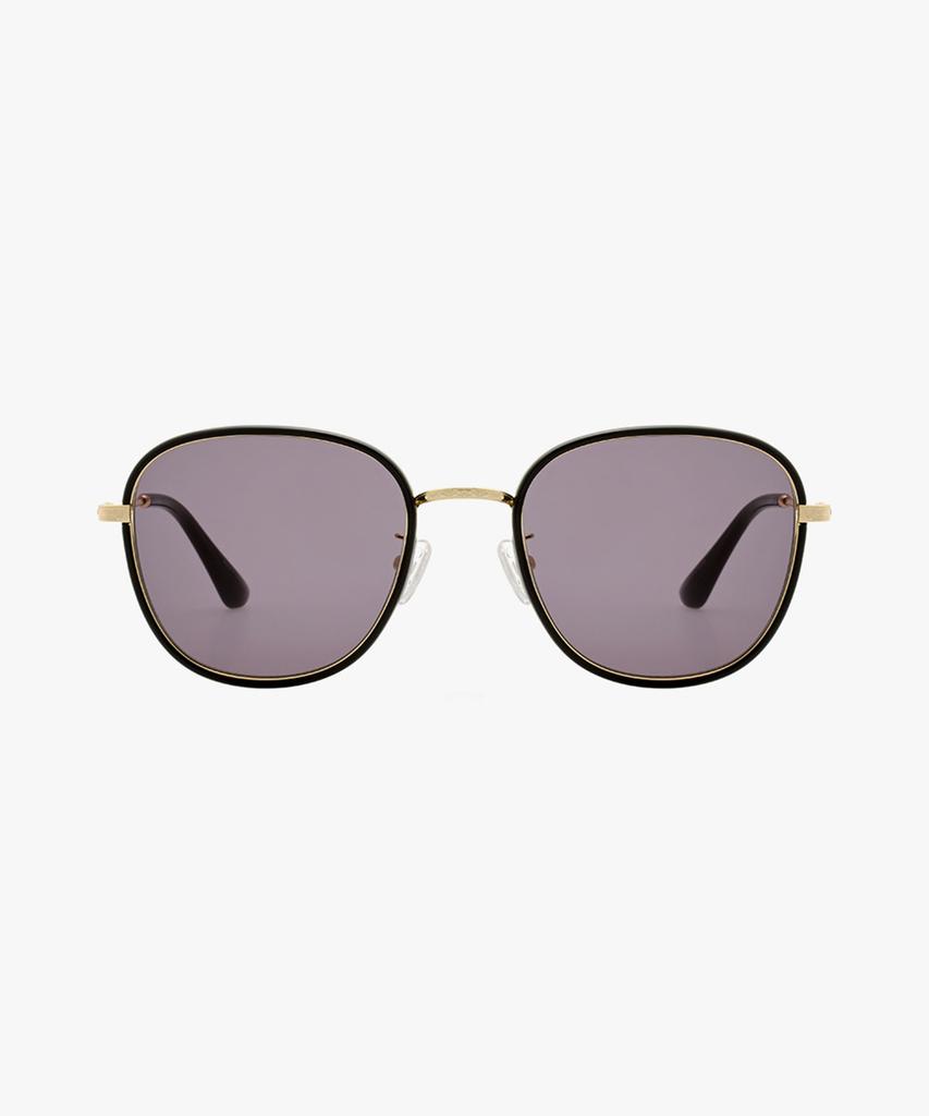 Hwillaaiweeo Sunglasses Fls7338
