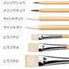 Sakura Design Pinsel-Coloriermedium Saishikichiyuu 10 Stück Cray-Pas (10)