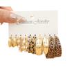 10 Pcs Acrylic C-shaped Leopard Print Earring for Women European and American Metal Earrings Light Luxury Accessories
