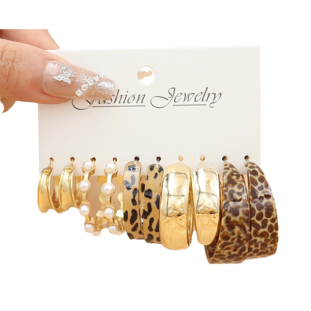 17KM 10 Pcs Acrylic C-shaped Leopard Print Earring for Women European and American Metal Earrings Light Luxury Accessories