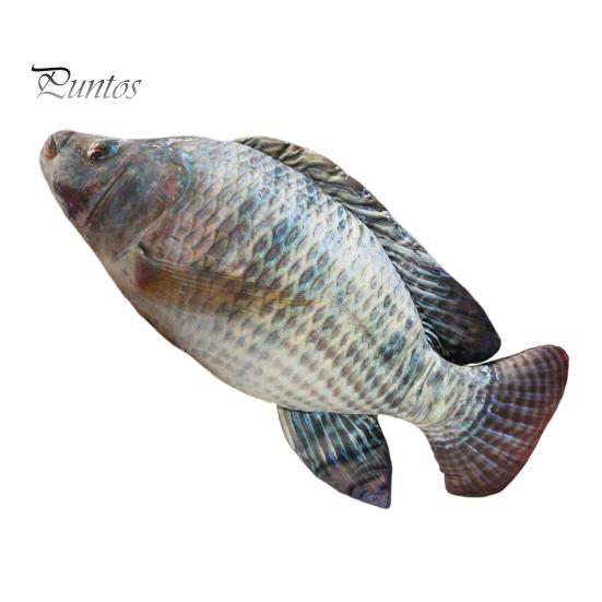 Fish Plush Toy for Kids Soft Stuffed Animal Cushion Cute Fish Shape Pillow Zipper Soft And Cuddly Fish Doll Gift for Birthdays