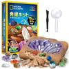 National Geographic Mega Gemstone Dig Kit Discover 15 Genuine Gems Science Kit for Gem Digging Unisex Rock Collection - & Crystals, Kids, Experience,