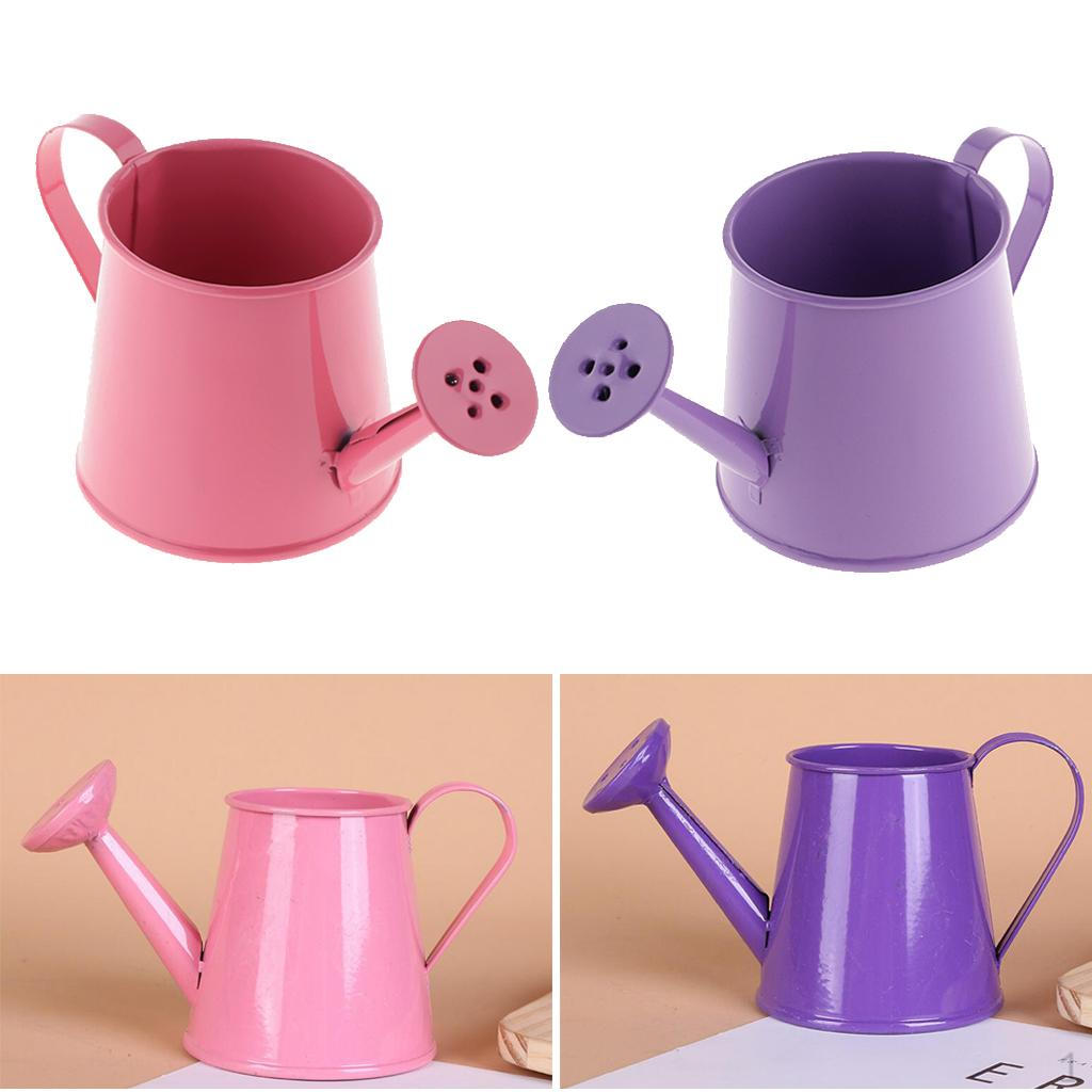 

2x Цветной жестяной цветочный горшок в пасторальном стиле, лейка для полива бонсай