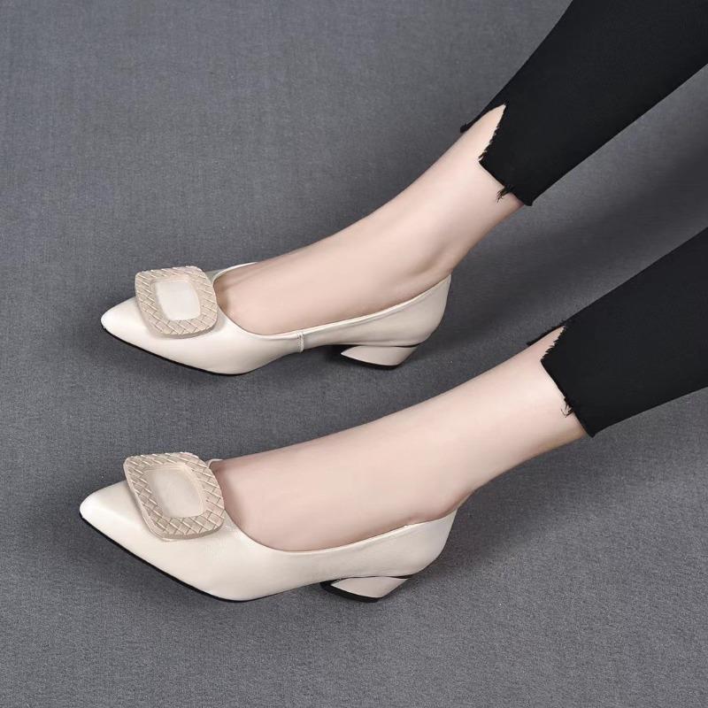 Spring and Autumn new shallow middle heel pointed women's shoes thick heel low heel black work middle heel versatile single shoes women