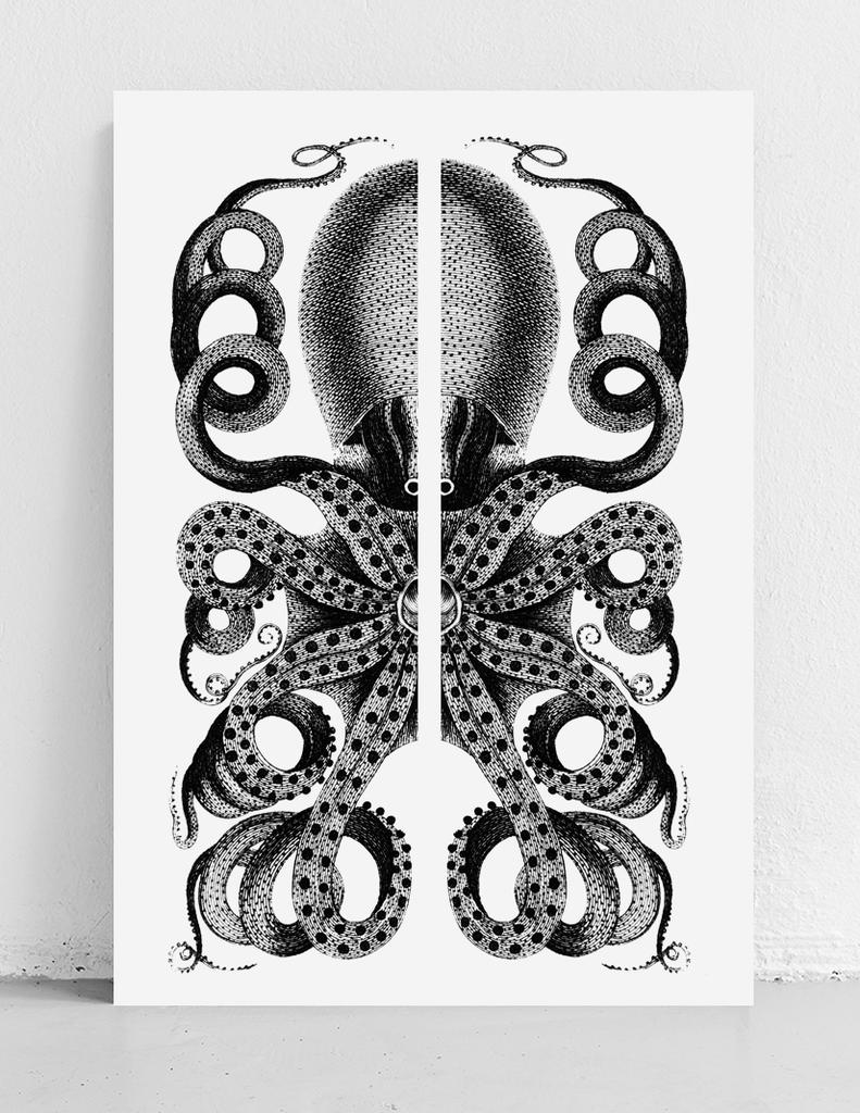 Black and White Poster Octopus