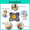 Hunde – Hundespielzeug